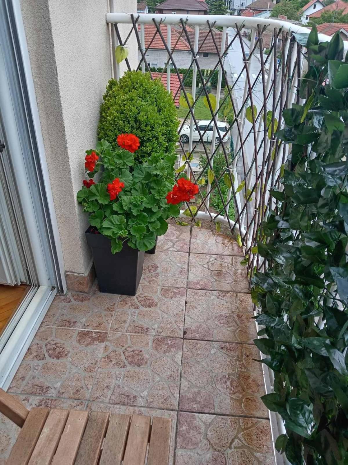 Apartman Centar Пожаревац Экстерьер фото